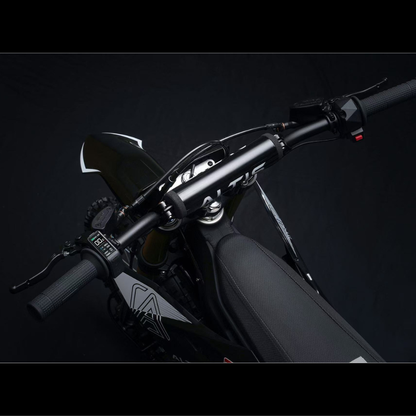 Altis Delta (17/14) EBike